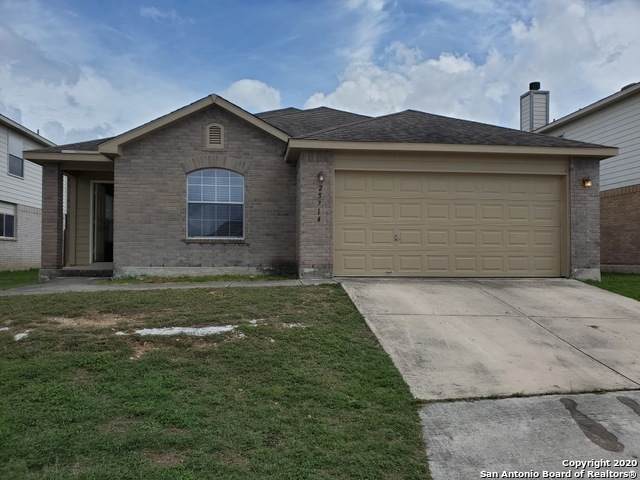 25714 Gold Yarrow - Photo 1