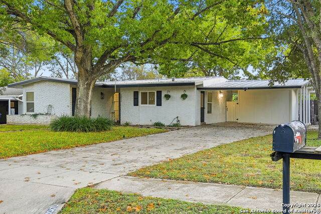 2822 Knight Robin - Photo 1