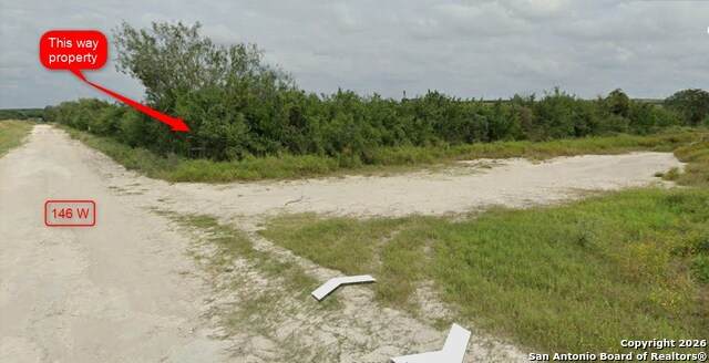 00 Blackbrush - Photo 1