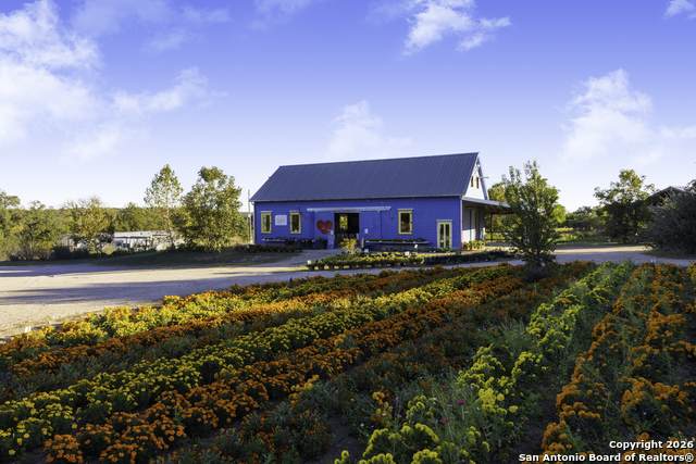 13977 Ranch Road 2325 - Photo 1