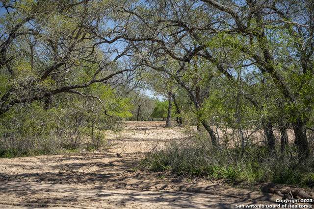 2731 County Road 770 - Photo 1