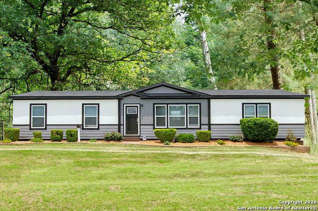 200 Lolita - Photo 1