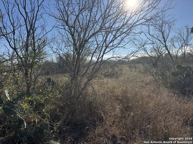 449 Rodriguez Acres Pr - Photo 1