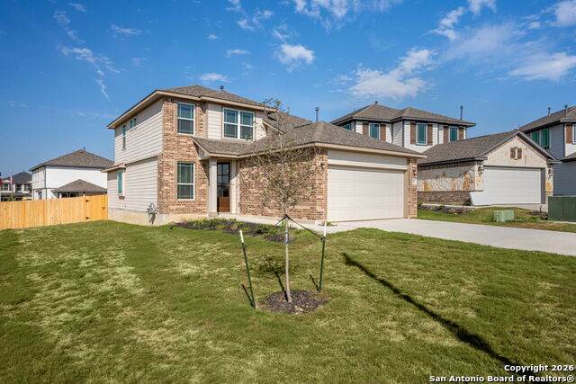 8803 Lemon Verbena - Photo 1