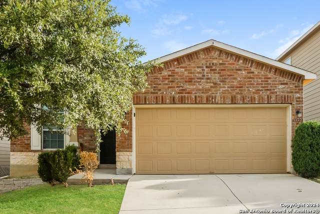 11323 Pink Star - Photo 1