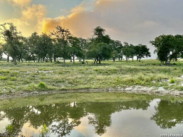 171 Flowering Sage - Photo 1