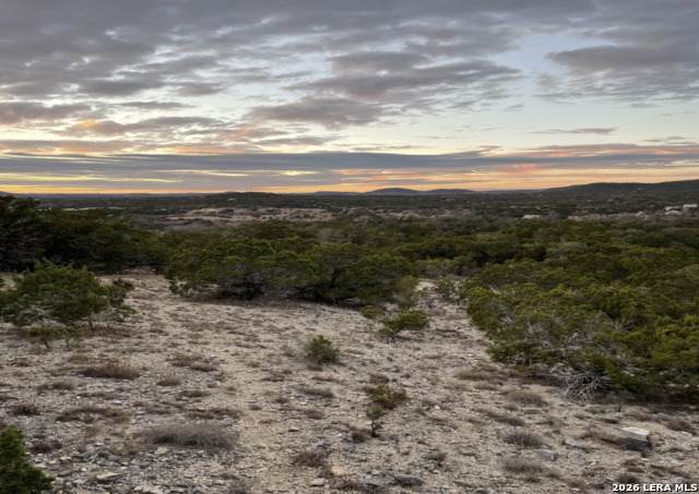 LOT 195 Antler Run - Photo 1