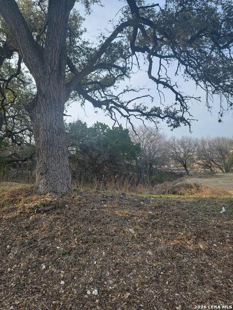 14922 Medusa - Photo 1