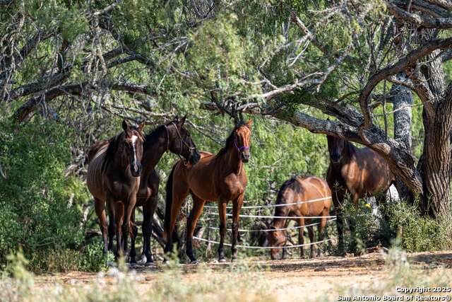 3285 Pittman Rd - Photo 1