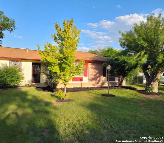 642 Palm - Photo 1
