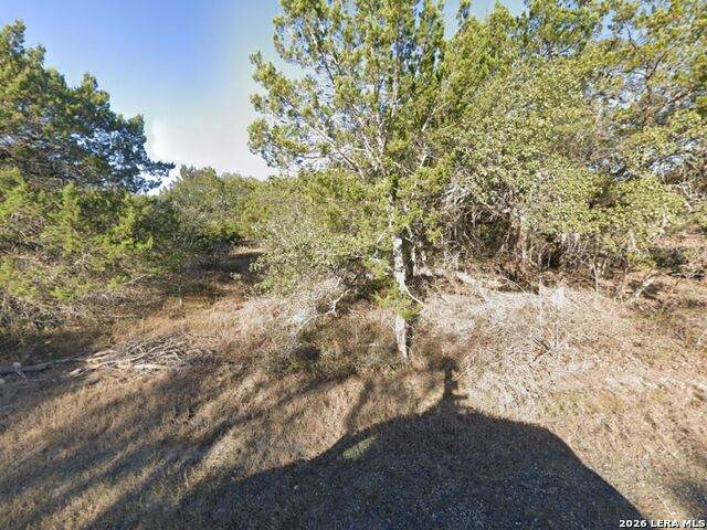 4225 Bar J - Photo 1