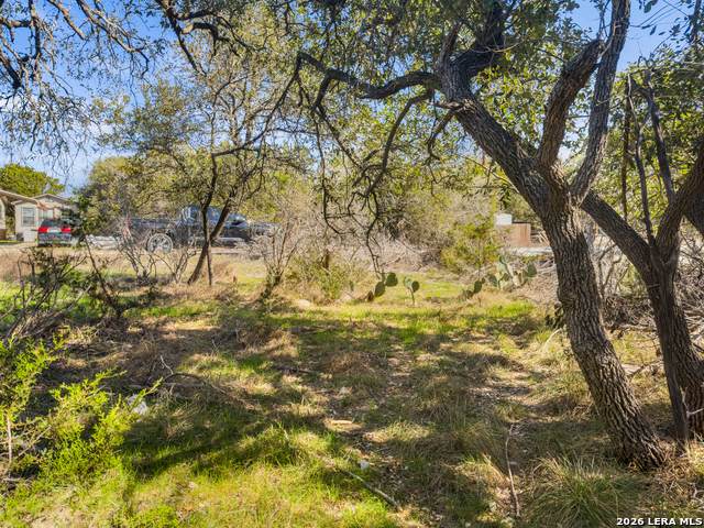 1738 Cave Drive - Photo 1