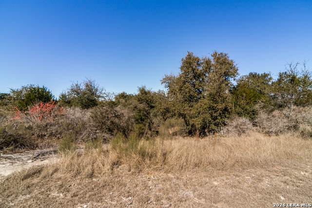 LOT 85 Palomino Springs - Photo 1