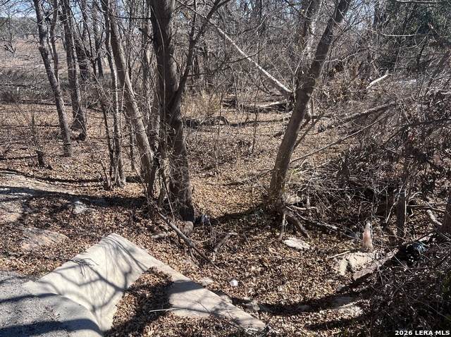 TBD Ess Rd - Photo 1