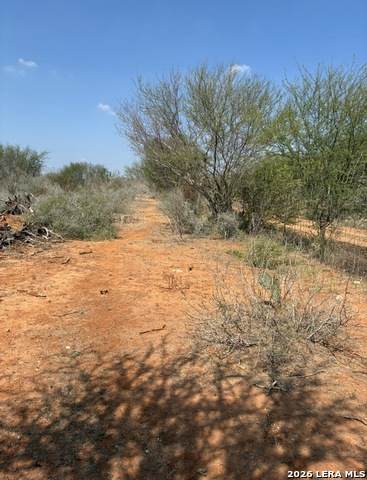 24 Cheyenne - Photo 1