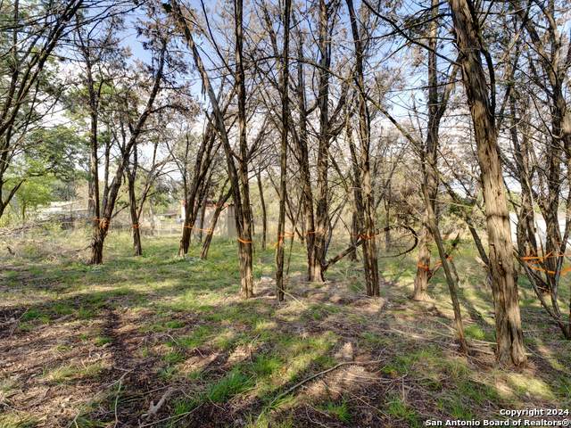 10468 Rebecca Creek - Photo 1