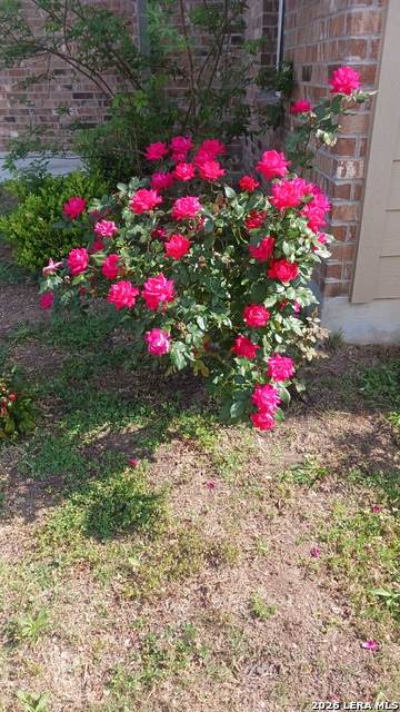 https://bt-photos.global.ssl.fastly.net/sabor/orig_boomver_1_1947239-2.jpg