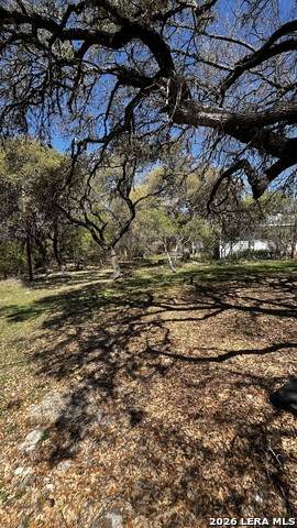 535 Twin Elm - Photo 1