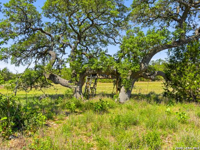 163 Stallion Estates Drive - Photo 1