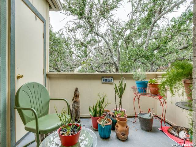 11843 Braesview - Photo 1