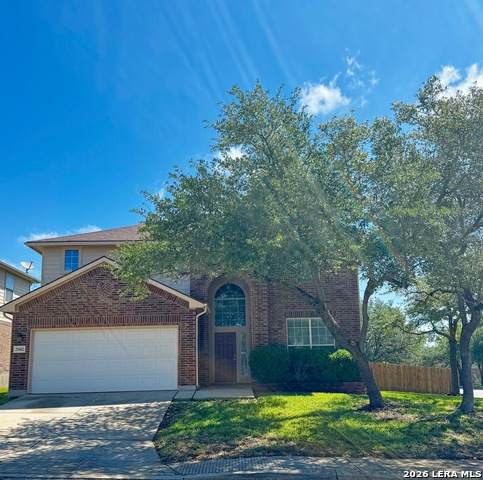 25602 Sophora - Photo 1