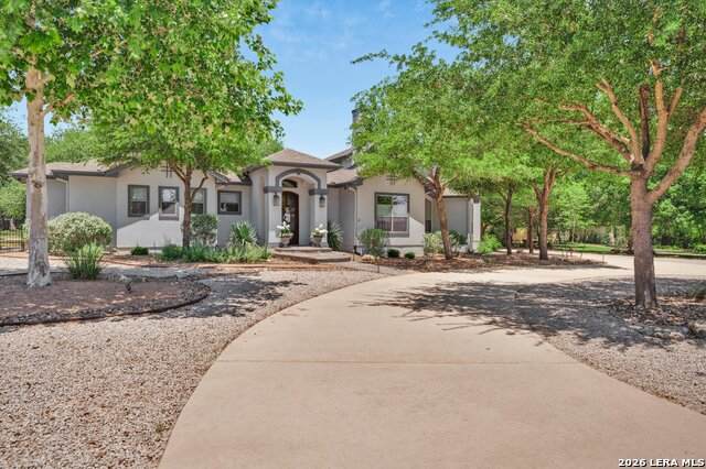10319 Oak Forest - Photo 1