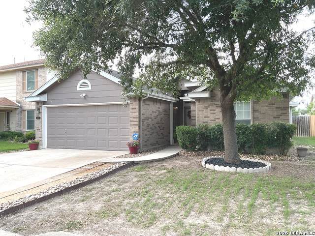 8511 Snakeweed Dr - Photo 1