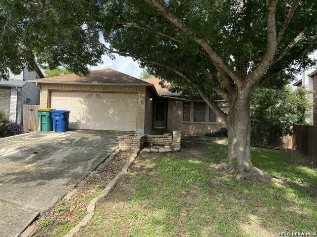 8003 Chestnut Manor Dr - Photo 1