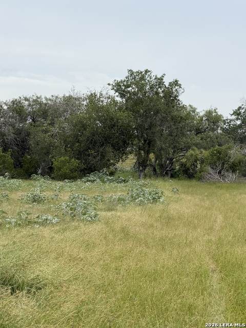 6038 County Road 405 - Photo 1