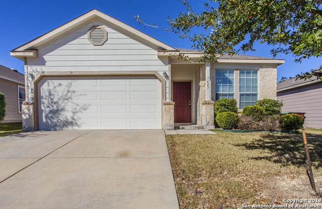7647 Paraiso Haven - Photo 1
