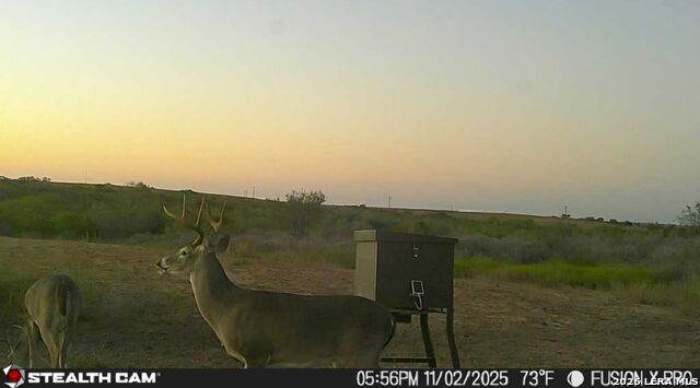 00 County Road 153 - Photo 1