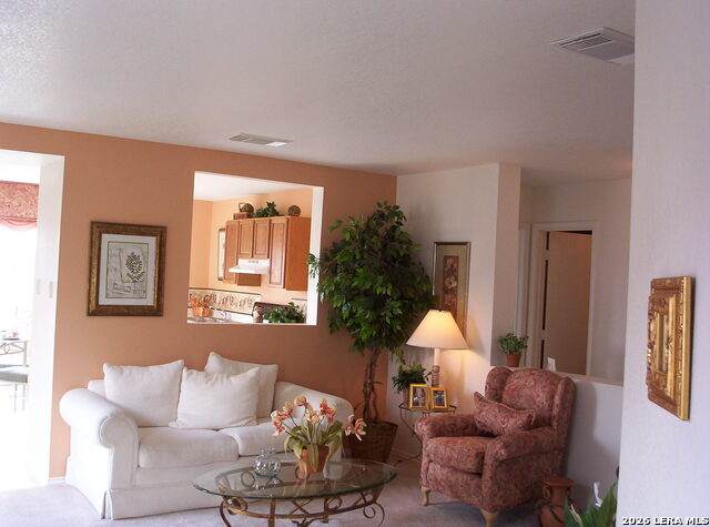 10130 Southern Sun - Photo 1