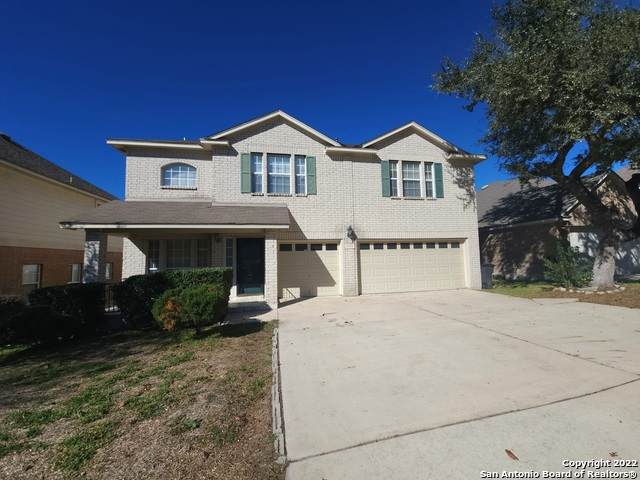 21215 Encino Ash - Photo 1
