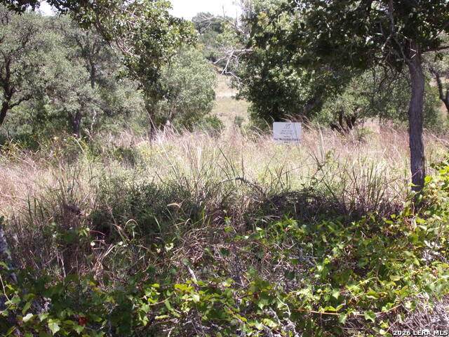 TBD Twisted Oak Trail - Photo 1