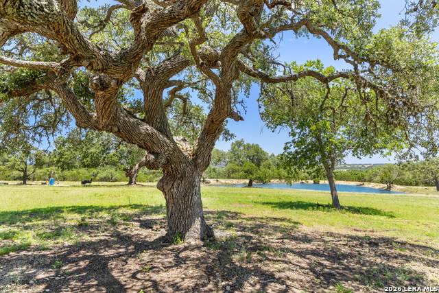 TBD Lindeman Ln - Photo 1