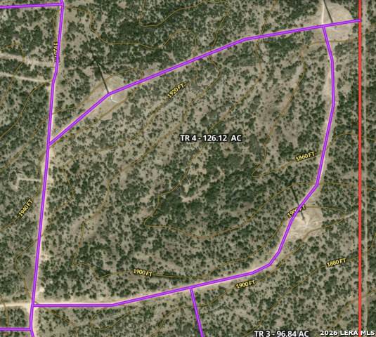 TRACT 4 LWR Hwy 377 - Photo 1