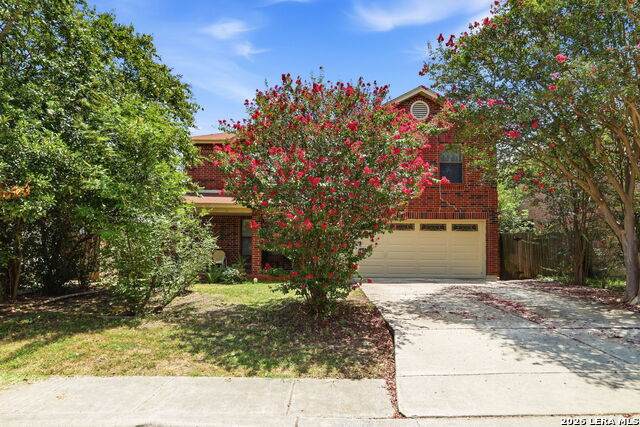 8214 Cantura Mls - Photo 1