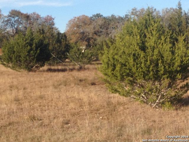 LOT 22 King Ranch Rd - Photo 1