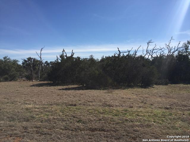 LOT 88 Pr 1518 - Photo 1
