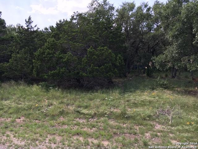 118 Deer Path - Photo 1