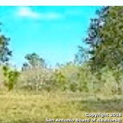 13338 Roundup Pass - Photo 1
