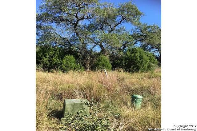 25710 Blanco Rd - Photo 1