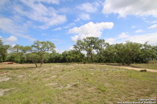 2346 Comal Spgs - Photo 1