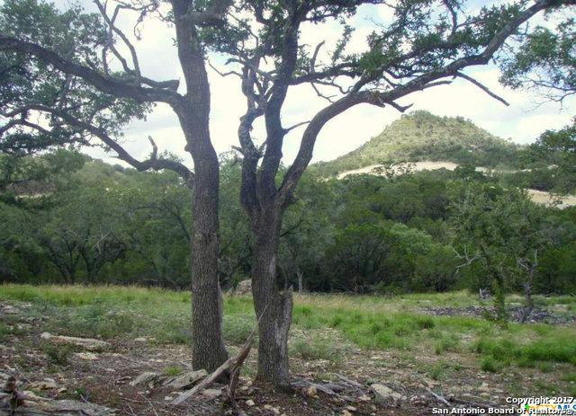 2432 Triple Peak Dr - Photo 1