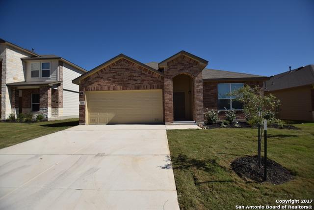 428 Pearl Chase - Photo 1