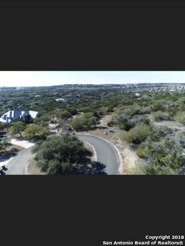3907 Wilderness Rim - Photo 1