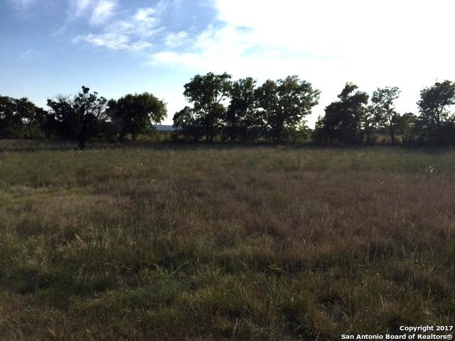 LOT 12 Tawny Oak - Photo 1