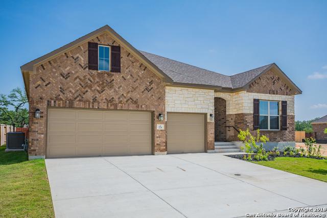 224 Branson Falls - Photo 1