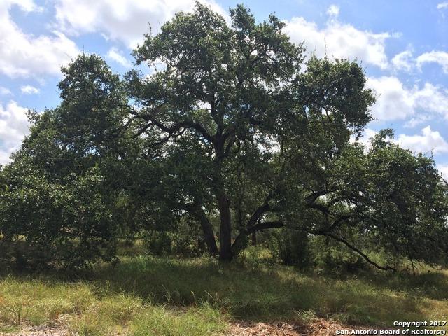 5717 Comal Vista - Photo 1