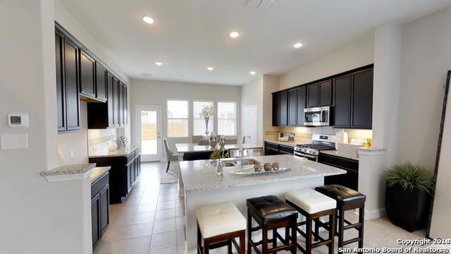 13905 Bellows Path - Photo 1